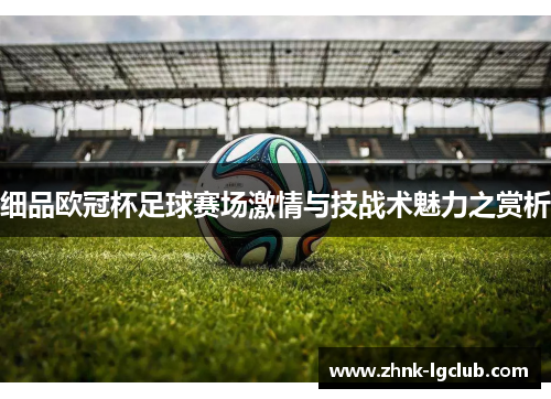 细品欧冠杯足球赛场激情与技战术魅力之赏析 细品欧冠杯足球赛场激情与技战术魅力之赏析