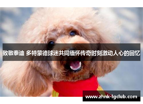 致敬泰迪 多特蒙德球迷共同缅怀传奇时刻激动人心的回忆 致敬泰迪 多特蒙德球迷共同缅怀传奇时刻激动人心的回忆